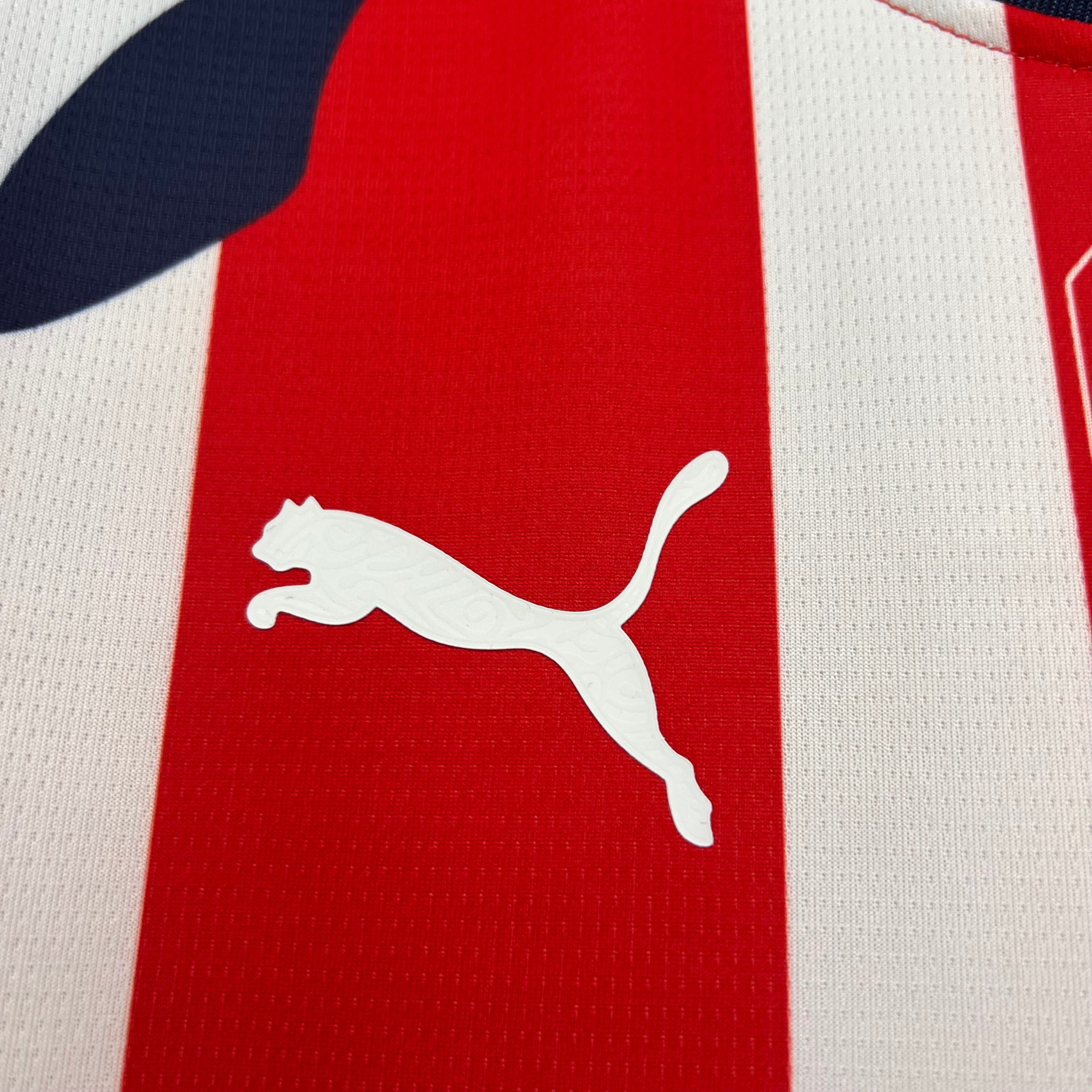 Jersey Chivas 2025/26 Local | Versión fan