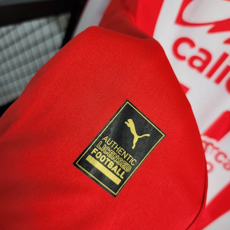 Jersey Chivas 2024/25 Local Manga Larga | Versión fan